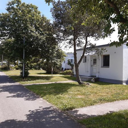 Ferienhaeuschen Kuestenwald Bei Warnemuende, Eigener Garten, Terrasse Mit Strandkorb, 400M Zum Strand Diedrichshagen  Dış mekan fotoğraf