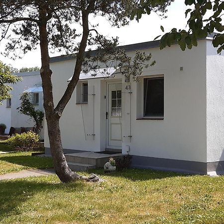 Ferienhaeuschen Kuestenwald Bei Warnemuende, Eigener Garten, Terrasse Mit Strandkorb, 400M Zum Strand Diedrichshagen  Dış mekan fotoğraf