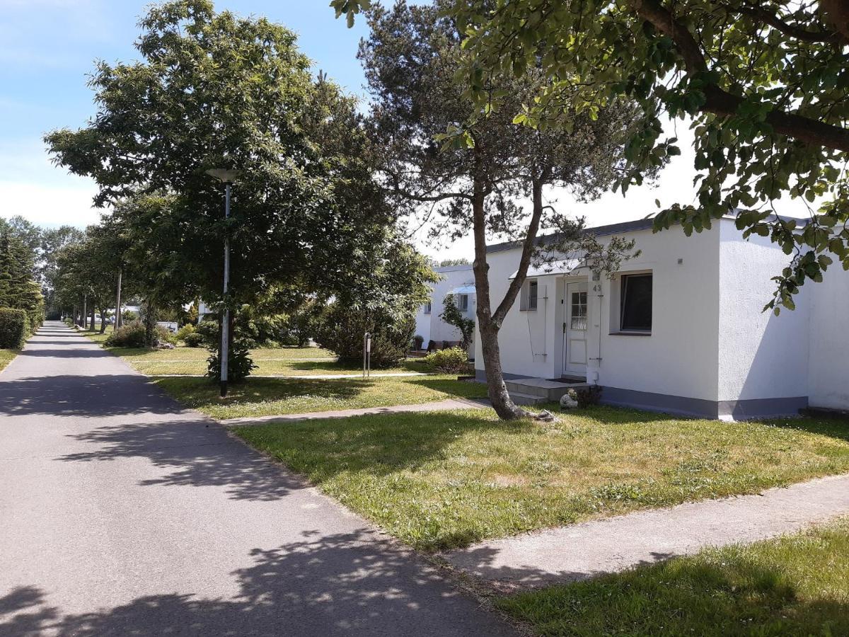Ferienhaeuschen Kuestenwald Bei Warnemuende, Eigener Garten, Terrasse Mit Strandkorb, 400M Zum Strand Diedrichshagen  Dış mekan fotoğraf